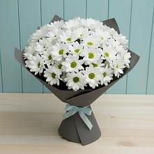 Букет цветов из:  Хризантемы #REPLACE_PRED# Крутинке