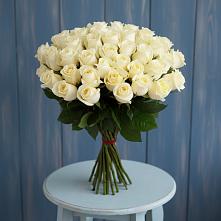 Букет 51 Белая роза Эдлесс Лав #REPLACE_PRED# Крутинке