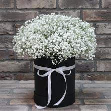Цветочная композиция из Гипсофила в шляпной коробке #REPLACE_PRED# Крутинке