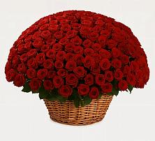 Премиум букет из: Розы в Крутинке